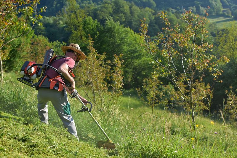 Bush Hogging Service