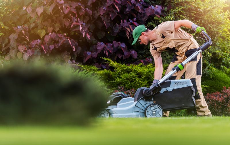 Local Rough Mowing pros at work