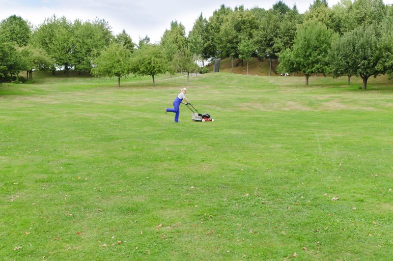 Rough Mowing in Spring
